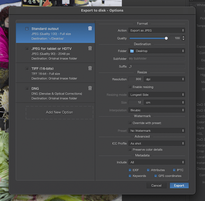 Screenshot of DxO PhotoLab 7 export to disk options panel